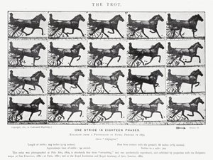 Il trotto da Eadweard Muybridge