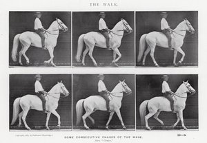 Eadweard Muybridge: La camminata