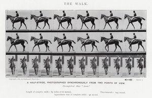 Eadweard Muybridge: La camminata