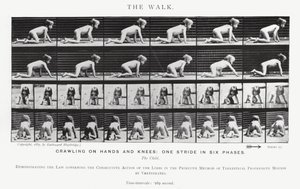 Eadweard Muybridge: La camminata da Eadweard Muybridge