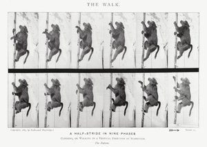 Eadweard Muybridge: La camminata da Eadweard Muybridge