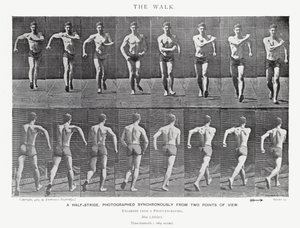 Eadweard Muybridge: La camminata (foto in b/n)