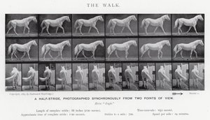Eadweard Muybridge: La camminata (foto in bianco e nero)