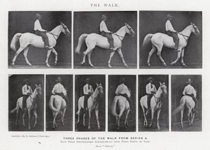 Eadweard Muybridge: La camminata (foto in bianco e nero)