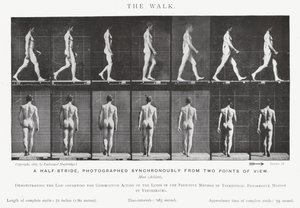 Eadweard Muybridge: La camminata (foto in bianco e nero) da Eadweard Muybridge