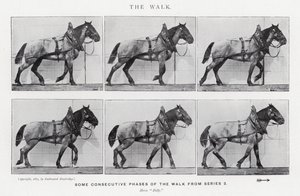Eadweard Muybridge: La camminata