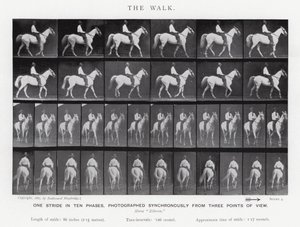 Eadweard Muybridge: La camminata