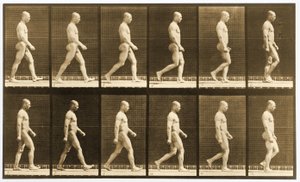 Sequenza di immagini di un uomo nudo che cammina, serie 