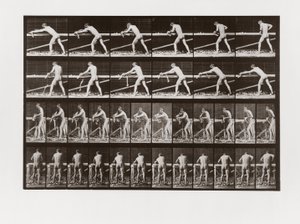 Uomo che pialla il legno, Tavola 379 da Animal Locomotion da Eadweard Muybridge
