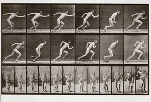 Uomo che corre, Tavola 59 da Animal Locomotion, 1887