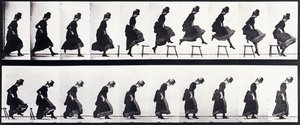 Studio del Movimento