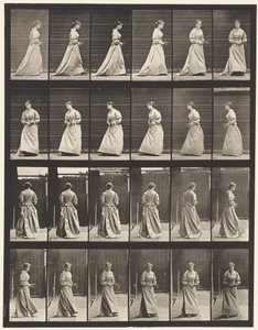 Tavola 100. Girare e salire le scale, 1885 da Eadweard Muybridge