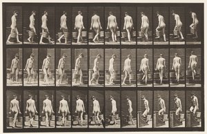 Tavola 104. Girare e salire le scale, secchio d