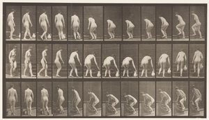 Girarsi per salire le scale, piegarsi, sollevare una brocca, 1872-1885 da Eadweard Muybridge