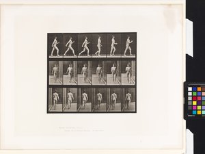 Tavola 10. Camminare da Eadweard Muybridge