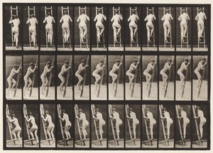 Piatto 112. Salendo la scala da Eadweard Muybridge