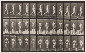 Tavola 114. Scendere la pendenza, angolo 1 su 4, 1872-1885 da Eadweard Muybridge