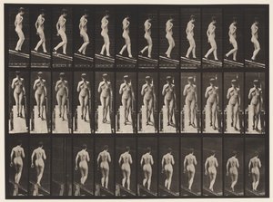 Piatto 119. Discesa, mano destra sul petto (scarpe) da Eadweard Muybridge