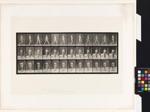 Tavola 11. Camminare da Eadweard Muybridge