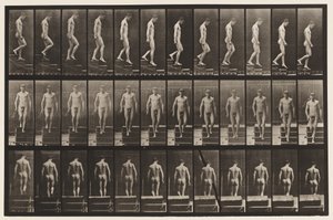 Tavola 125. Discesa delle scale da Eadweard Muybridge