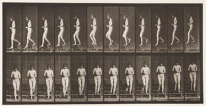 Tavola 128. Scendere le scale, mani giunte da Eadweard Muybridge