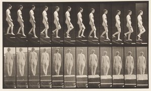 Piatto 129. Scendendo le scale, mani giunte da Eadweard Muybridge