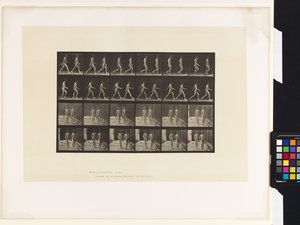 Tavola 12. Camminare da Eadweard Muybridge