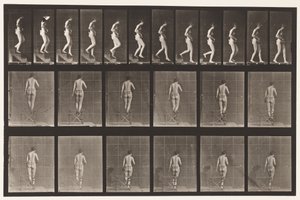 Tavola 130. Scendere le scale, mani giunte da Eadweard Muybridge