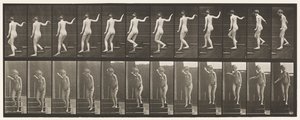 Tavola 132. Scendere le scale, girarsi a guardarsi intorno e salutare con la mano da Eadweard Muybridge