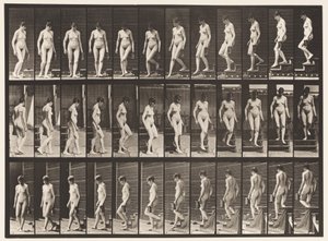 Scendere le scale, girarsi; brocca nella mano sinistra (tavola 138) da Eadweard Muybridge