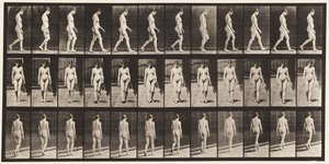 Tavola 13. Camminare da Eadweard Muybridge