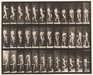 Piastra 144. Scendere le scale; girare un bacino nelle mani da Eadweard Muybridge