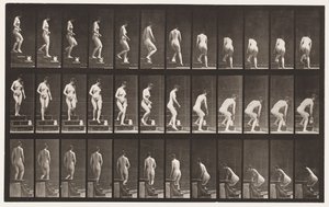 Tavola 149. Scendere le scale; chinarsi per sollevare una brocca da Eadweard Muybridge