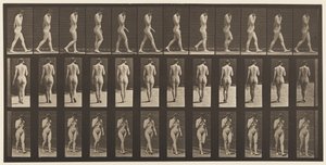 Tavola 14. Camminare, mano destra al mento da Eadweard Muybridge
