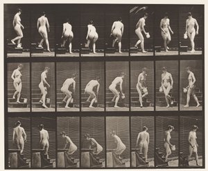 Tavola 150. Scendere le scale; chinarsi, sollevare una brocca, girarsi da Eadweard Muybridge