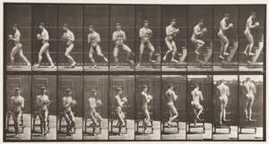 Tavola 151. Scendere la scala, girarsi, roccia in mano, 1872-1885 da Eadweard Muybridge