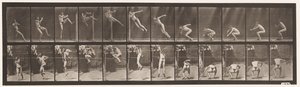Saltare; Corsa con salto alto da Eadweard Muybridge