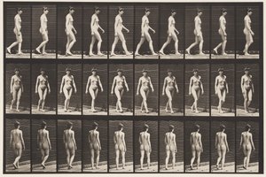 Camminare da Eadweard Muybridge