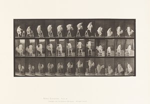 Salire su un cavalletto; saltare giù, girarsi