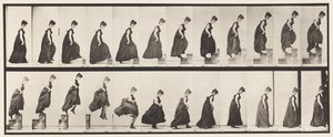 Tavola 173. Salire i gradini e saltare giù, 1885 da Eadweard Muybridge