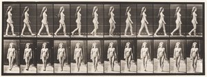 Tavola 17. Camminare da Eadweard Muybridge