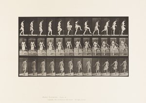 Scavalcare una recinzione (tavola 181) da Eadweard Muybridge