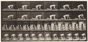 Piastra 182. Strisciare su mani e ginocchia da Eadweard Muybridge