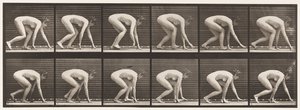 Piastra 183. Camminare su mani e piedi da Eadweard Muybridge