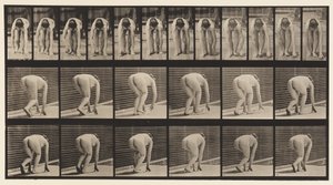 Piatto 184. Camminando su mani e piedi da Eadweard Muybridge