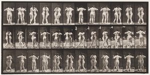Piatto 196. Ballando il valzer, due modelli da Eadweard Muybridge