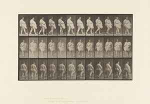 Tavola 19. Camminata, Inizio della Rotazione da Eadweard Muybridge