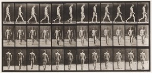 Tavola 1. Camminare da Eadweard Muybridge