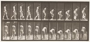 Tavola 202. Lasciare cadere e sollevare un fazzoletto da Eadweard Muybridge