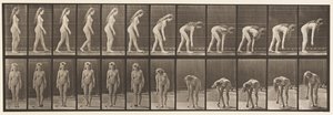 Fermarsi per raccogliere una palla (tavola 204) da Eadweard Muybridge